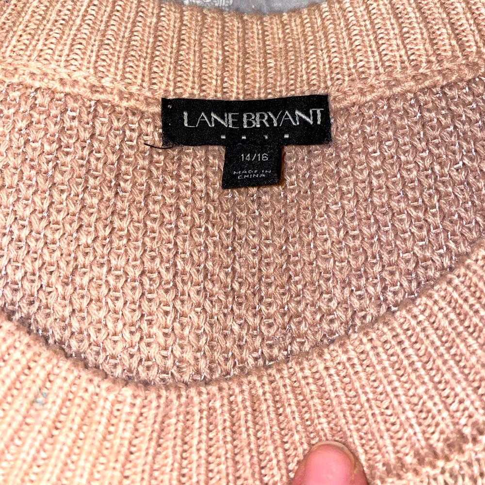Layne Bryant long, pink/silvery sparkles sweater.